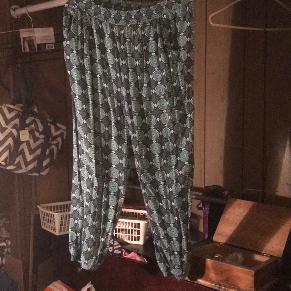 Dress pants